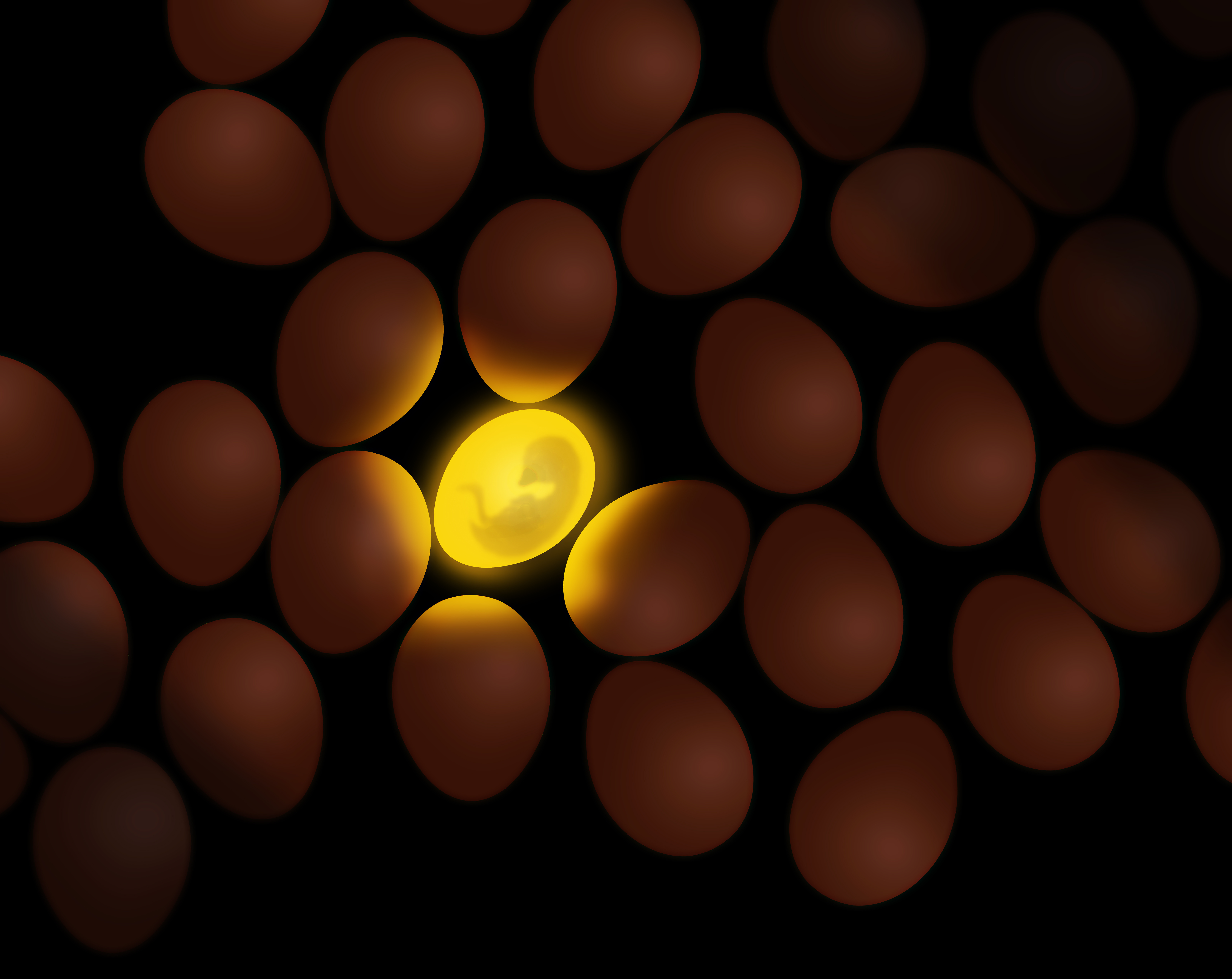 Ovoscopia mostrando embrião em desenvolvimento dentro de um ovo fértil iluminado em meio a outros ovos escuros, representando a viabilidade embrionária